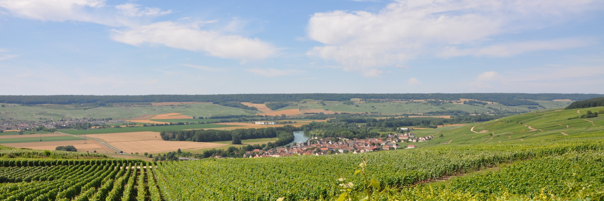 Scot Epernay et Région